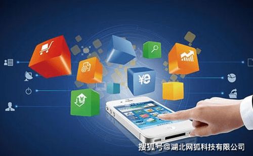 湖北網(wǎng)狐科技 電商App開發(fā)如雨后春筍，細(xì)分行業(yè)如何搶占商機(jī)
